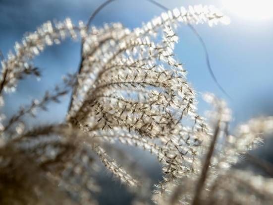 luce naturale