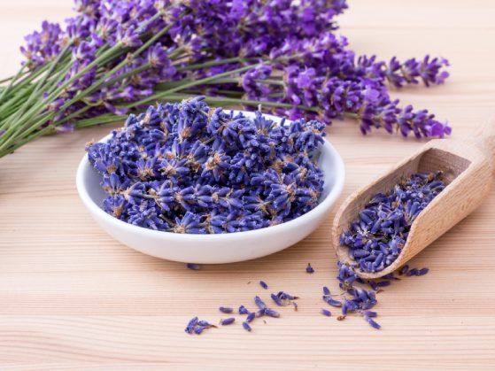 Olio di lavanda benefici