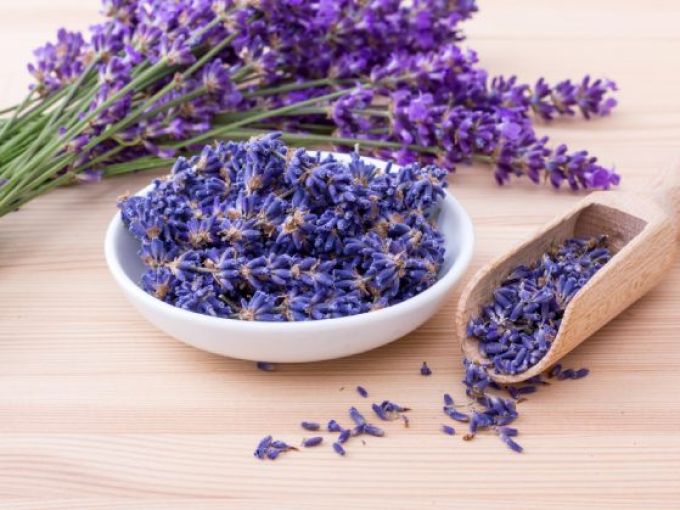 Olio di lavanda benefici